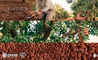 ​Elazığ’da Tarımsal Dönüşüm: ÇEKUD’dan Çiftçiye 20 Bin Badem Fidanı Desteği